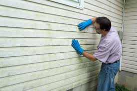 Best Vinyl Siding Installation  in Las Cruces, NM